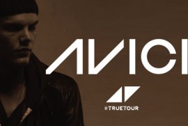 Avicii, yeni albümü için Serj Tankyan ile işbirliğinde