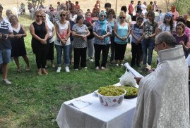 Sivas Ermenileri ve Dostları Derneği Üzüm Kutsama Bayramı'nı kutladı