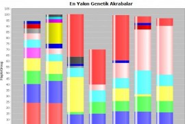 Genom Türkiye. «Ներկայիս Թուրքիայի բնակչությանը գենետիկորեն ամենամոտը հայերն են»