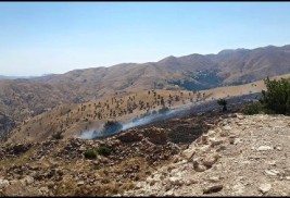 Sason Ermeni manastırındaki yangın Meclise taşındı