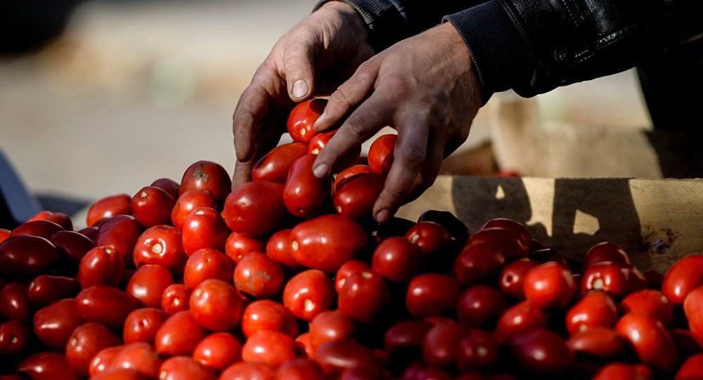 Rusya, Türkiye'den tüm tarım ürünlerinin ithalatını durdurabilir