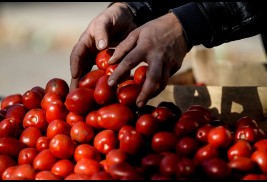 Rusya, Türkiye'den tüm tarım ürünlerinin ithalatını durdurabilir