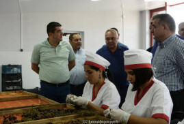 Martakert’te kuruyemiş fabrikası, Matağis’te ise tatil bölgesi açıldı