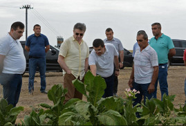 Başbakan Karapetyan’dan Karabağ’da 200 hektarlık nar bahçesi kurma sözü