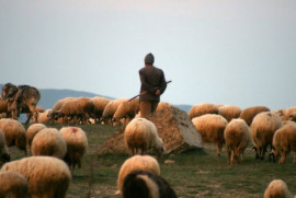 Ermenistan-Türkiye sınırını ihlal eden Türkiye vatandaşı yakalndı