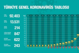 Թուրքիայում կորոնավիրուսով վարակվածների թիվը հասել է 13․531-ի