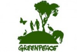 Greenpeace-ը  կոչ է անում Էրդողանին հանդիպումից առաջ դադարեցնել ուժի կիրառումը