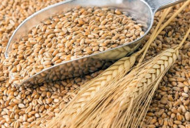 Турция приостановит импорт пшеницы, в том числе из России