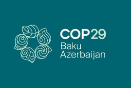 Arjantinli yetkililer Bakü'deki COP29'a katılımlarını askıya aldı