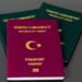 Türkiye Cumhuriyeti pasaportu. (Fotoğraf: Erhan Demiralp)